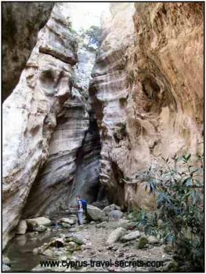 Avakas Gorge picture Cyprus