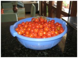 cherry tomatoes image
