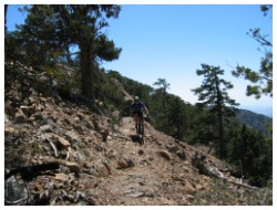 mountain bike atalante trail