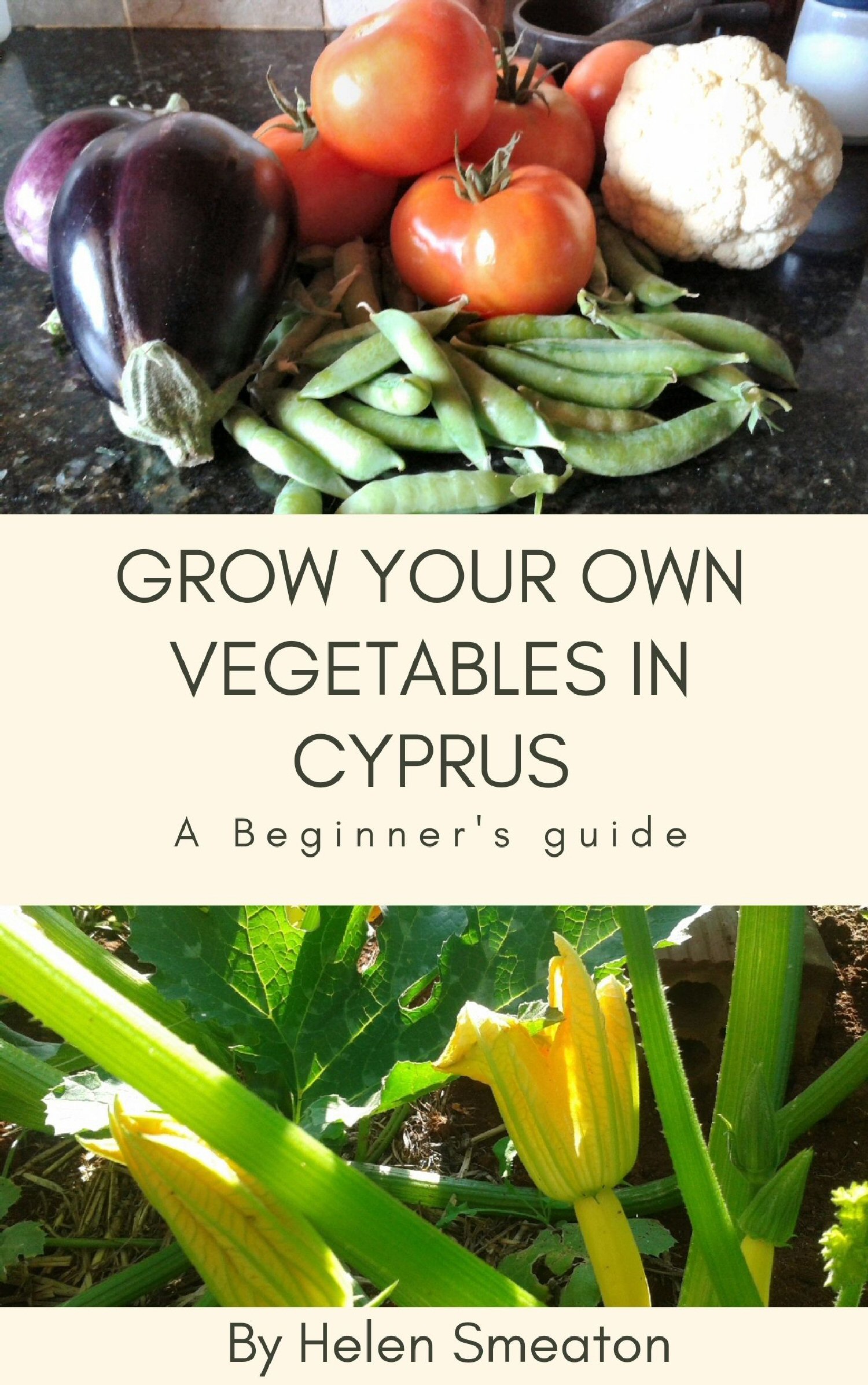 grow your own vegetables in cyprus