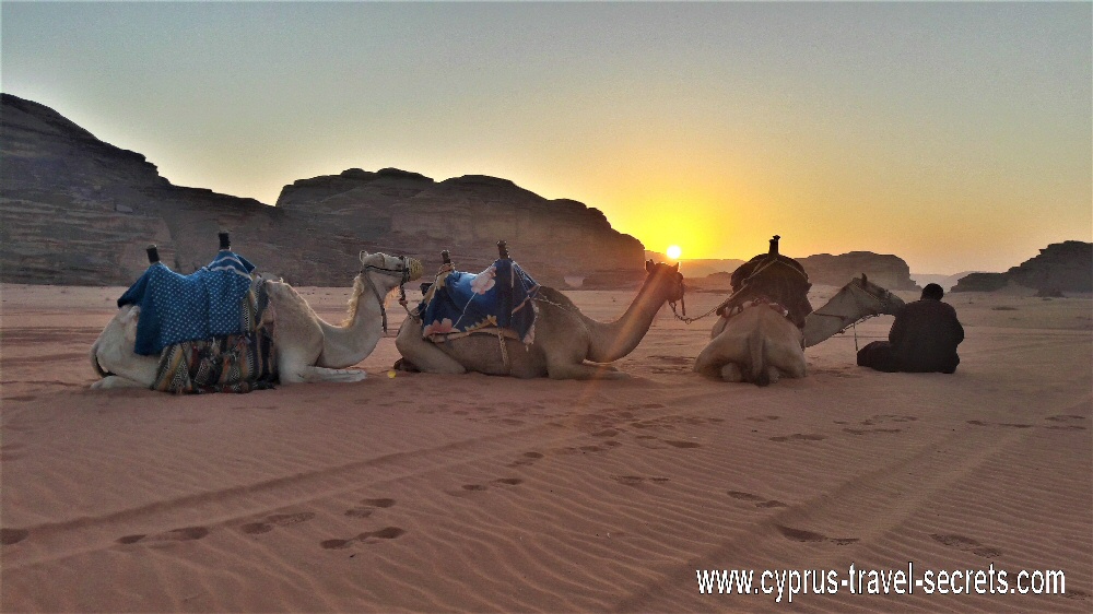 sunrise camel trek wadi rum jordan