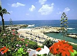 cynthiana beach hotel paphos
