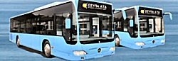 cyprus buses
