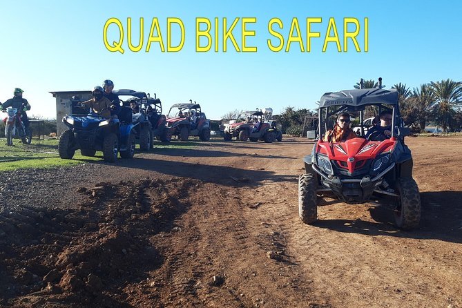 quad bike safari