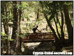 Picnic site at Livadi Picnic site at Livadi