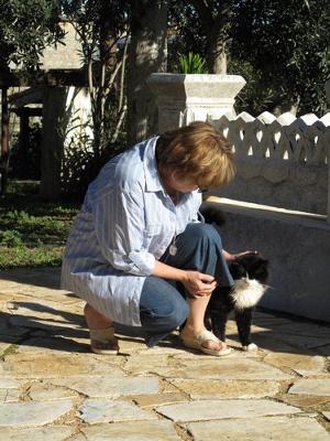 My favourite Cyprus Cat